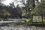 София - Полицейска блокада - Парк Витоша