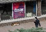 София - Извънредно положение - Улици и паркове