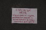 Бургас - Пандемия коронавирус - Табели и бележки