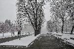 София - Снеговалеж