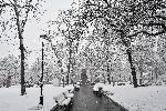 София - Снеговалеж