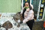 Калканът поевтиня рекордно в Бургас заради коронавируса