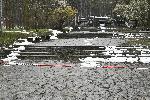 София - Природен парк Витоша - Извънредно положение