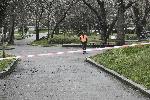 София - Затворени паркове - Мерки срещу COVID-19