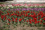 Варна - Извънредно положение