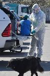 София - Изнъредно положение епидемия коронавирус - Блокада и дезинфекция на квартал Факултета