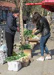 Русе – Затворени пазари и тротоарна търговия