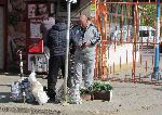Русе – Затворени пазари и тротоарна търговия