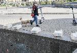София - Храна за нуждаещи се