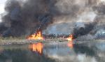 Село Негован, София - Пожар на сухи треви и храсти край езерото