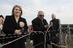 АРХИВ - Десислава Николова, изпълнителен директор на Винпром Карнобат