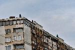 СОФИЯ - Взривяване на ИПК Родина