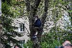 СОФИЯ - Взривяване на ИПК Родина