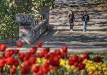 Варна - Морска градина