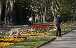 Варна - Морска градина