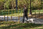 Варна - Морска градина