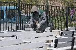 Бургас - Отваряне на местата за отдих