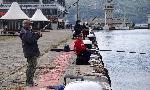 Варна - Рибари