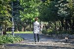 София -  Проверка на Столичен инспекторат