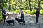 София -  Проверка на Столичен инспекторат