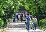 Борисовата градина все още с ограничителни ленти, но без общинска охрана