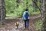 София - Извънредно положение - Отваряне на природен парк Витоша за разходки