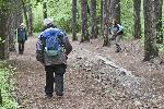 София - Извънредно положение - Отваряне на природен парк Витоша за разходки