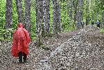 София - Извънредно положение - Отваряне на природен парк Витоша за разходки