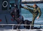 Варна - Демонстрация на ВМС