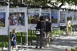 СОФИЯ - Градинката "Кристал" - Фотоизложба "Копнеж по Италия"
