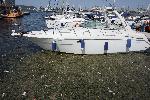 Варна - Фекални води на Морска гара