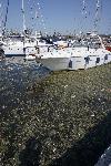 Варна - Фекални води на Морска гара