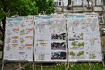 София - Пешеходна улица