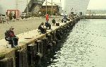 Бургас - Рибари