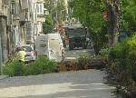 Старо дърво падна на оживен булевард в Бургас