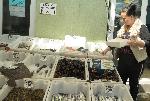 Леферът изпревари калкана по цена на бургаския пазар