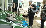 Бургас - Рибен пазар