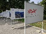 Варна - Открадната снимка от изложба
