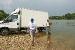 Белене - Зарибяване с моруна на река Дунав от WWF България