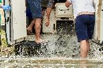 Белене - Зарибяване с моруна на река Дунав от WWF България
