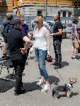 СОФИЯ - URBATHON FEST - Представяне на проекти за промяна на градската среда от "Спаси София" и главния архитект Здравко Здравков