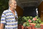 Градушка свали до 20 стотинки дините в Любимец