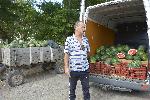 Любимец - Пазар - Дини