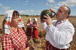 Димитровград - Жътва