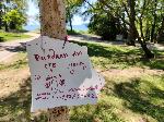 Търси се загубен смартфон с бележки в Морската градина на Варна