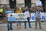 София - Антиправителствени протести