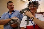 Варна - Изложба конкурс за котки