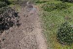 Село Кулата, Петрич - Авария на газопровод между България и Гърция