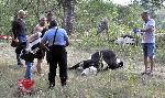 50 населени места без вода в Хасковска област, след смъртта на крави край Марица