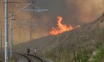 Харманли - Пожар в ниска растителност и гора